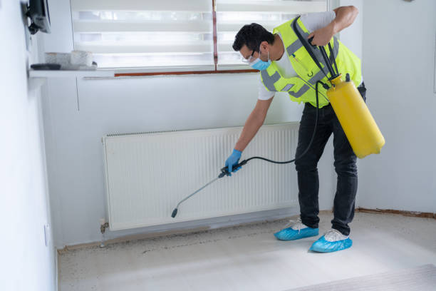 Best Pest Exclusion Services  in Oracle, AZ